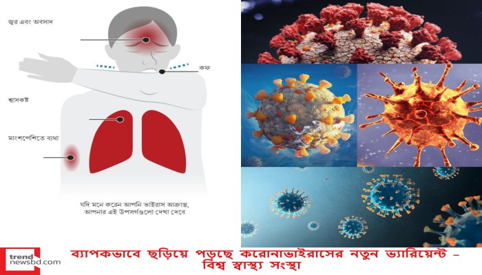 ব্যাপকভাবে ছড়িয়ে পড়ছে করোনাভাইরাসের নতুন ভ্যারিয়েন্ট - বিশ্ব স্বাস্থ্য সংস্থা