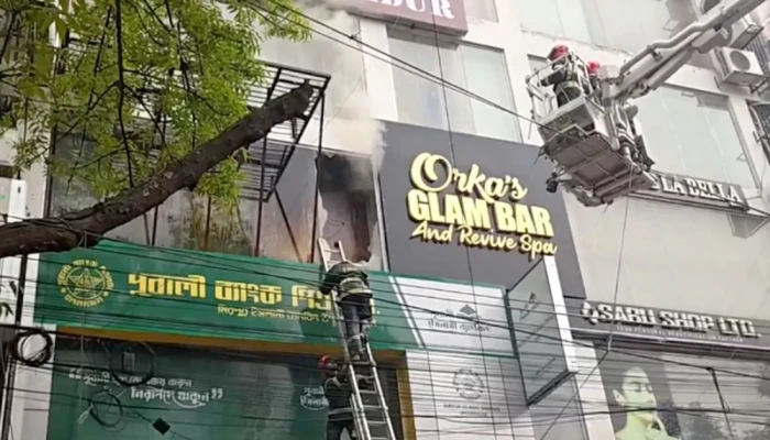 মিরপুর-২ এ একটি বহুতল ভবনে আগুন