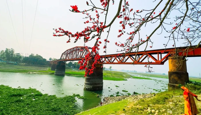 সেলফি তুলতে গিয়ে ট্রেনের ধাক্কায় দুই যুবকের প্রাণহানি