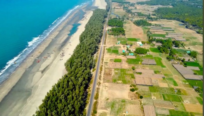 গাছ না কেটে মেরিন ড্রাইভ সড়ক প্রশস্তকরণের নির্দেশ প্রধানমন্ত্রীর