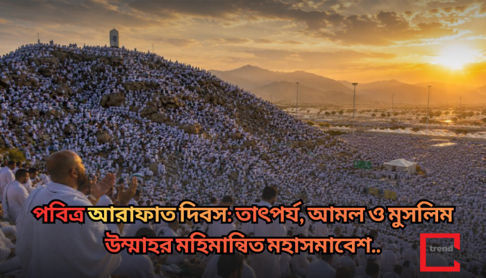পবিত্র আরাফাত দিবস: তাৎপর্য, আমল ও মুসলিম উম্মাহর মহিমান্বিত মহাসমাবেশ