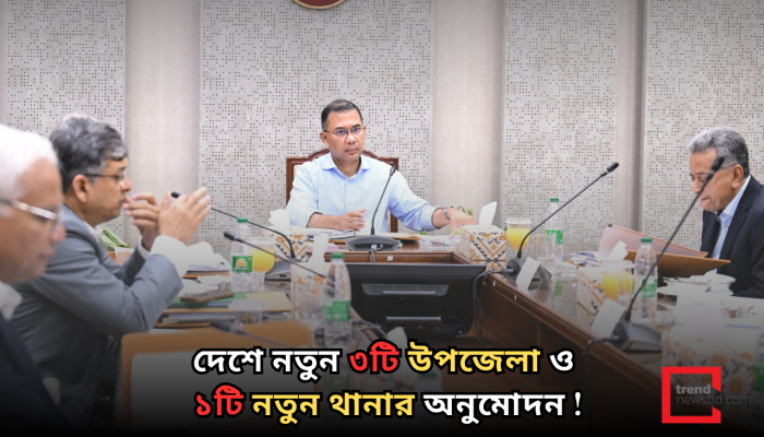 দেশে নতুন ৩ উপজেলা ও ১ থানার অনুমোদন: নিকার বৈঠকে সিদ্ধান্ত!