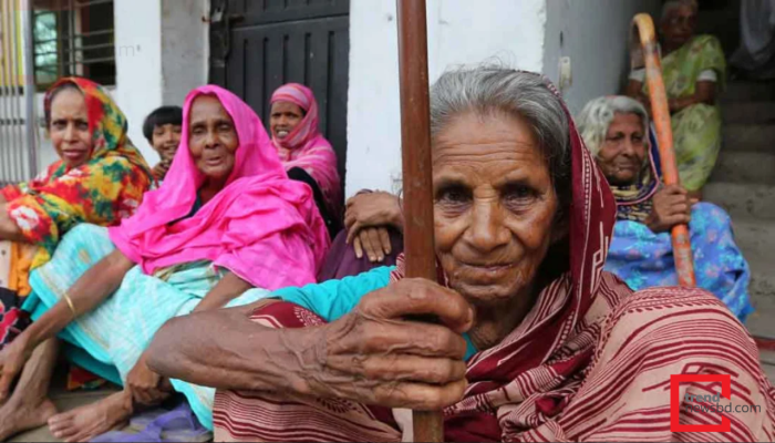বয়স্ক-বিধবা-প্রতিবন্ধী ভাতার অনলাইন আবেদন শুরু; যেভাবে করবেন