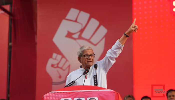 মির্জা ফখরুলই বিএনপির রাষ্ট্রপতি প্রার্থী; দল ও সরকারের তিন পদে সম্ভাব্য উত্তরসূরি কারা