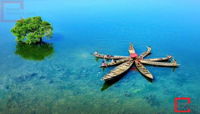 টাঙ্গুয়ার হাওরের জীববৈচিত্র্য পুনরুদ্ধারে পাইলট প্রকল্প, জনমনে নতুন আশার সঞ্চার